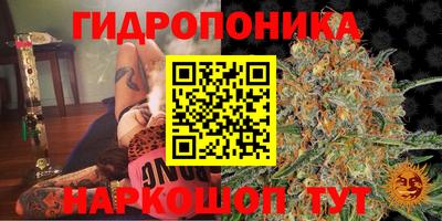 герыч Бийск