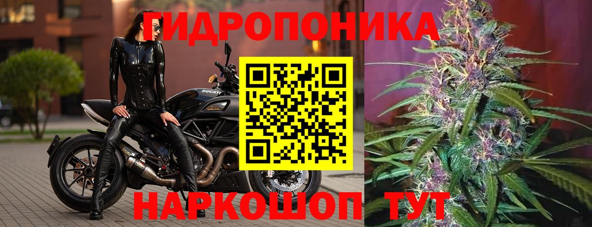 Конопля Amnesia Казань